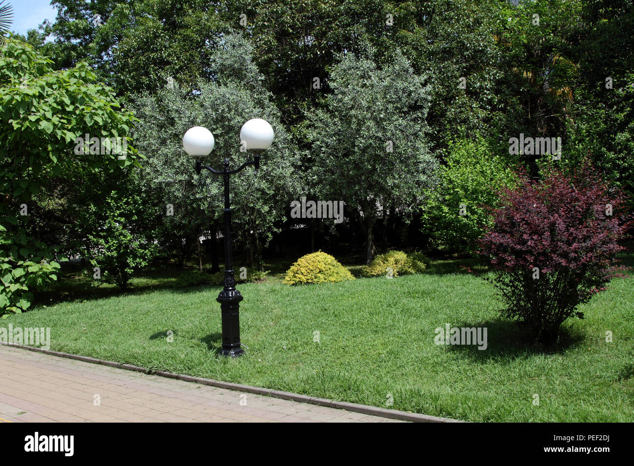Street lamp is installed in the city park of the southern city. Stock Photo