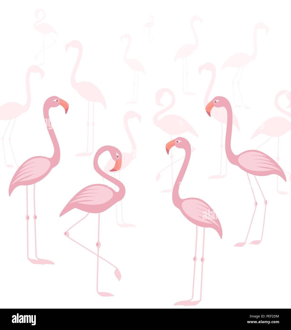 Vector illustration of a pink flamingo. Tropical bird flamingos Stock ...