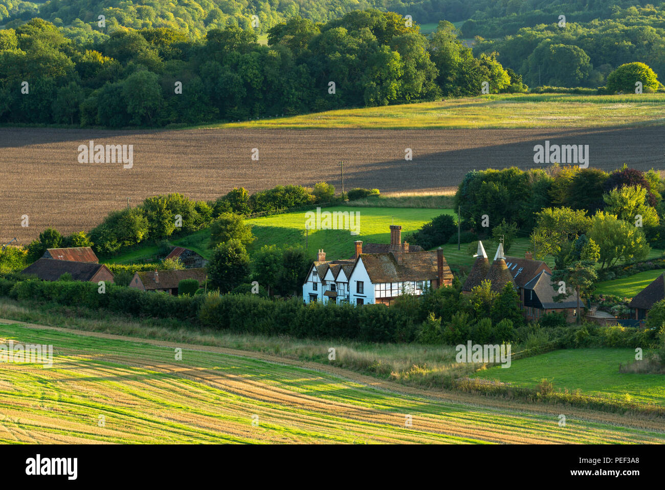 Manor, a grade II listed country house set in the Kent Downs