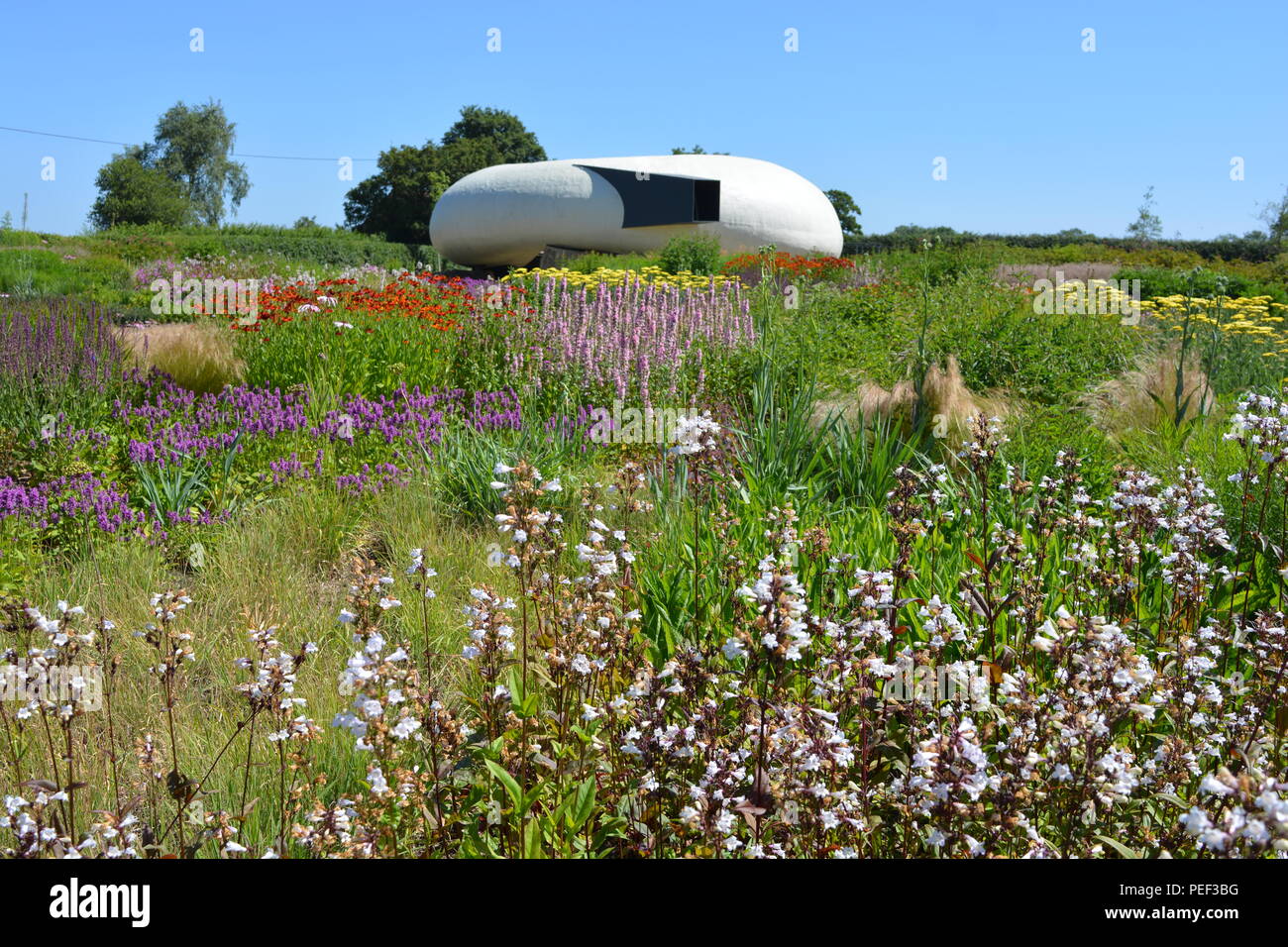 View over Oudolf Field, designed by renowned landscape architect Piet Oudolf, to  Radić Pavilion, designed by Smiljan Radić, Hauser & Wirth, Somerset Stock Photo