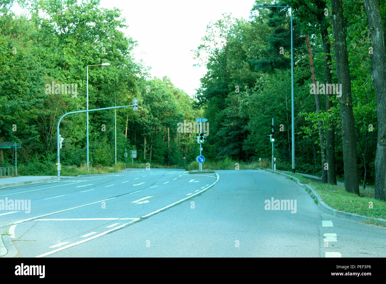 Germany Stuttgart city jungle on the hills and mountains Lush Tropical ...