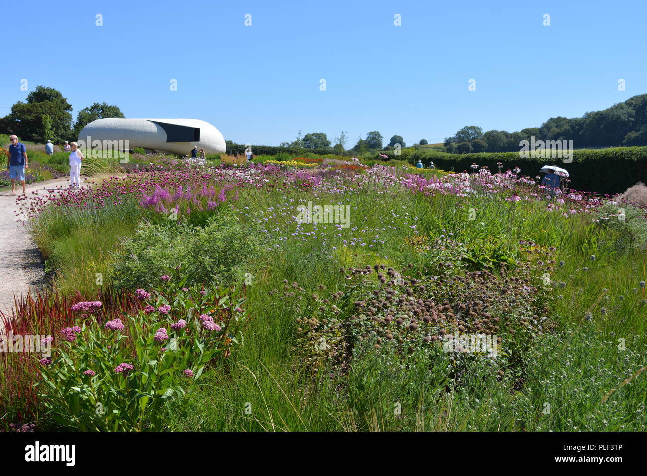 View over Oudolf Field, designed by renowned landscape architect Piet Oudolf, to  Radić Pavilion, designed by Smiljan Radić, Hauser & Wirth, Somerset Stock Photo
