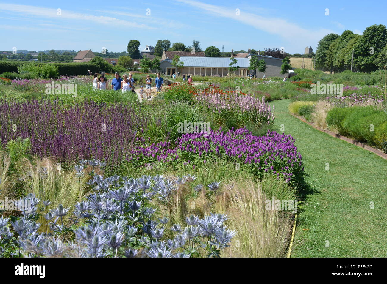 View across Oudolf Field designed by landscape architect Piet Oudolf to the main gallery building of Hauser & Wirth, Bruton, Somerset, England Stock Photo