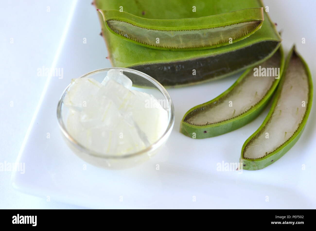 Fresh Cut Aloe Vera Plant Leaves With Clear Diced Gel In A Glass