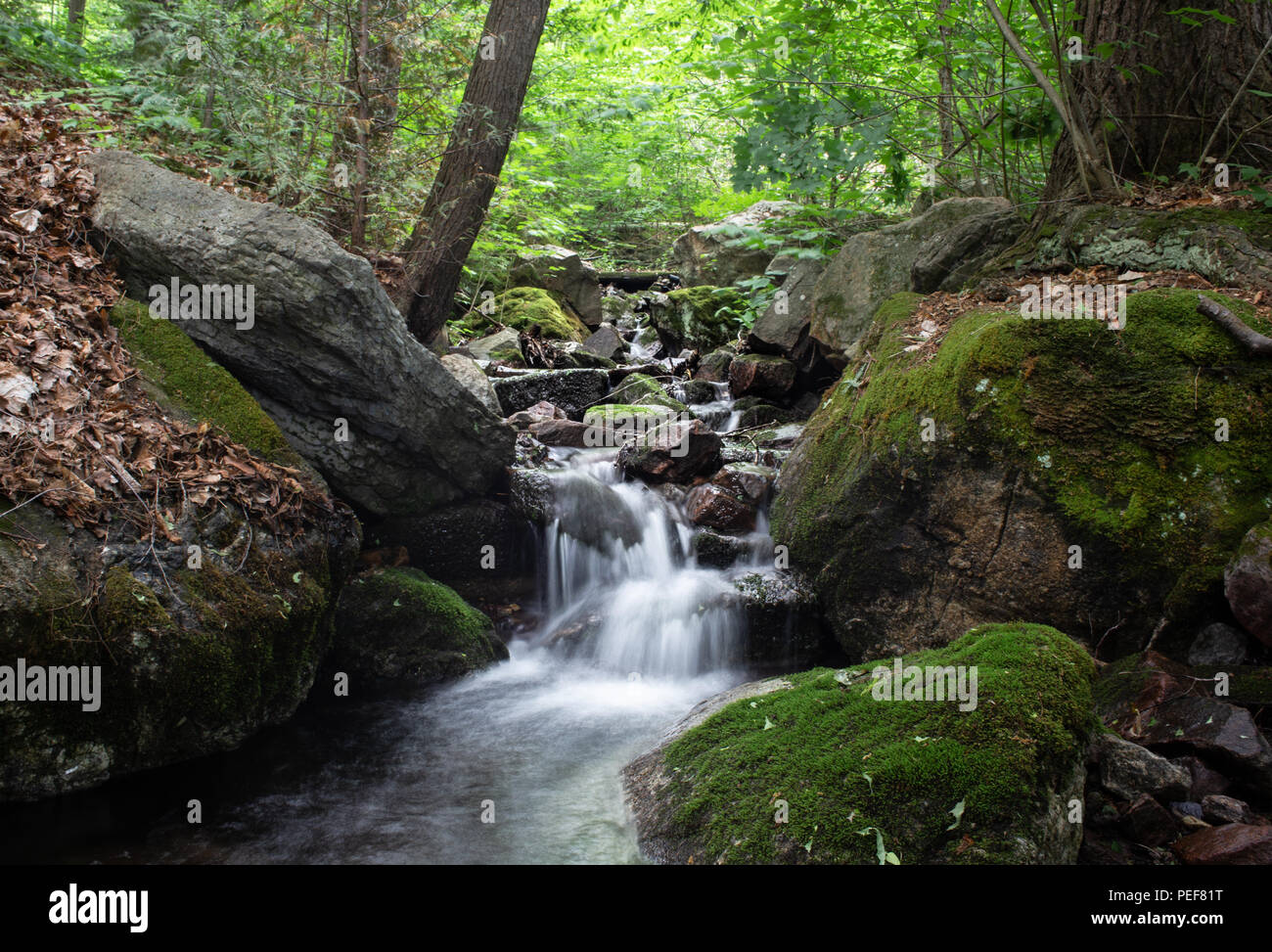 Calabogie High Resolution Stock Photography and Images - Alamy