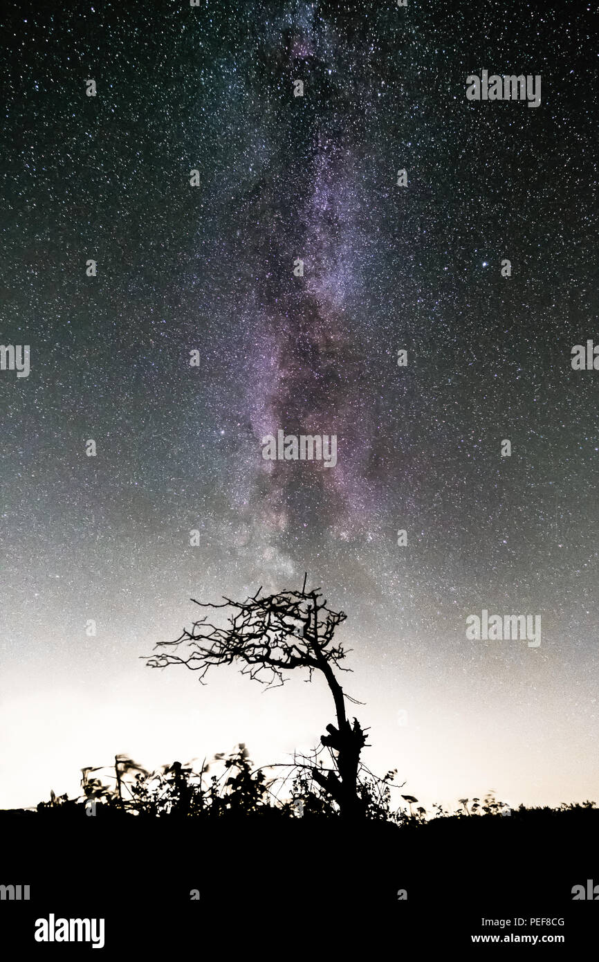 Lots of stars and the magnificent Milky Way above the dark sky