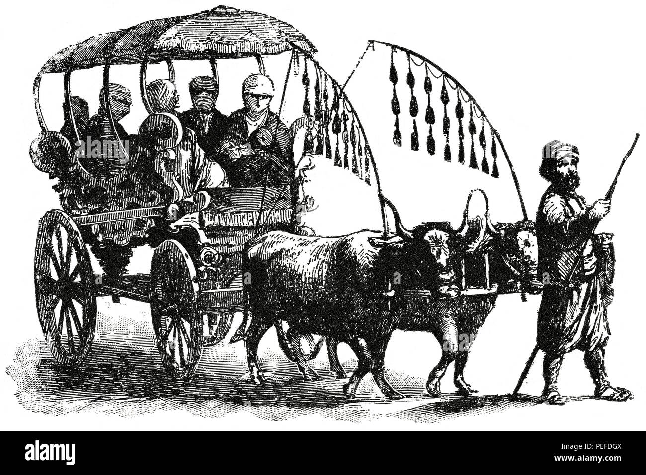 A Family “Araba” or Carriage, Syria, 1890's, Illustration, Classical Portfolio of Primitive Carriers, by Marshall M. Kirman, World Railway Publ. Co., Illustration, 1895 Stock Photo