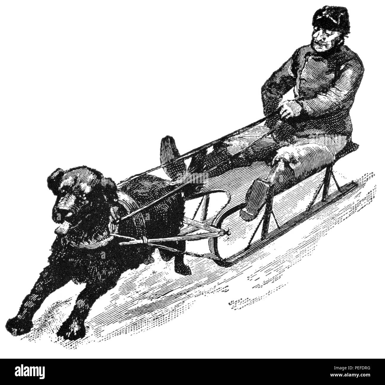 Newfoundland Dog Sled, Canada, Illustration, Classical Portfolio of Primitive Carriers, by Marshall M. Kirman, World Railway Publ. Co., Illustration, 1895 Stock Photo