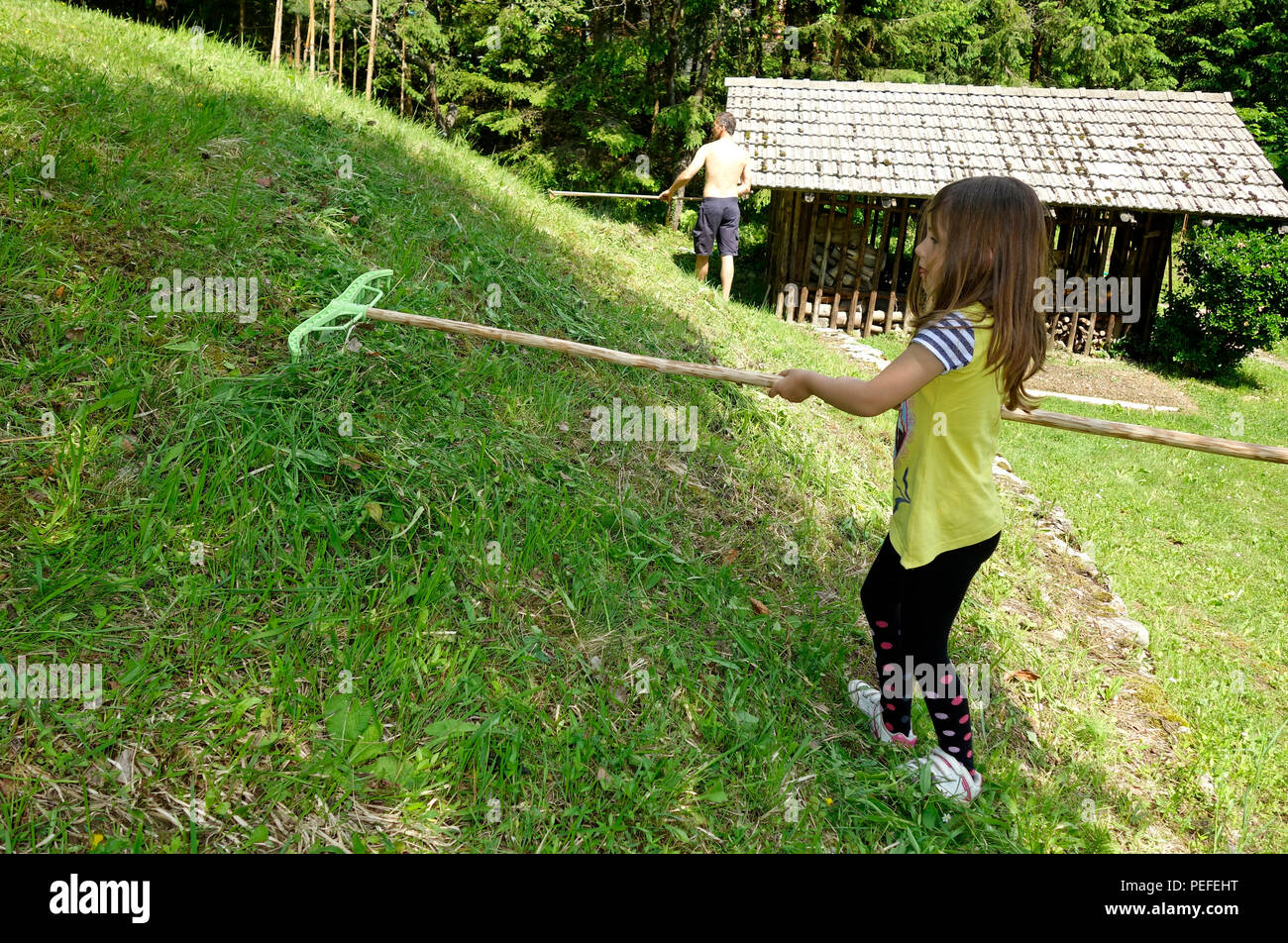 Young girl with hay rake helps with work in home backyards lawn. Stock Photo