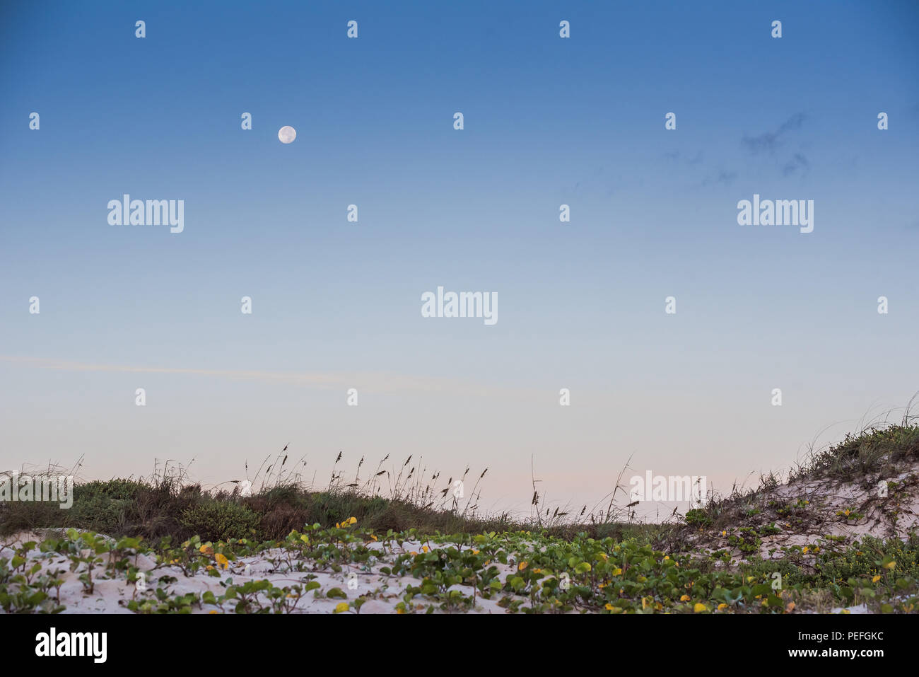 Beach on Texas Gulf Coast at sunrise Stock Photo