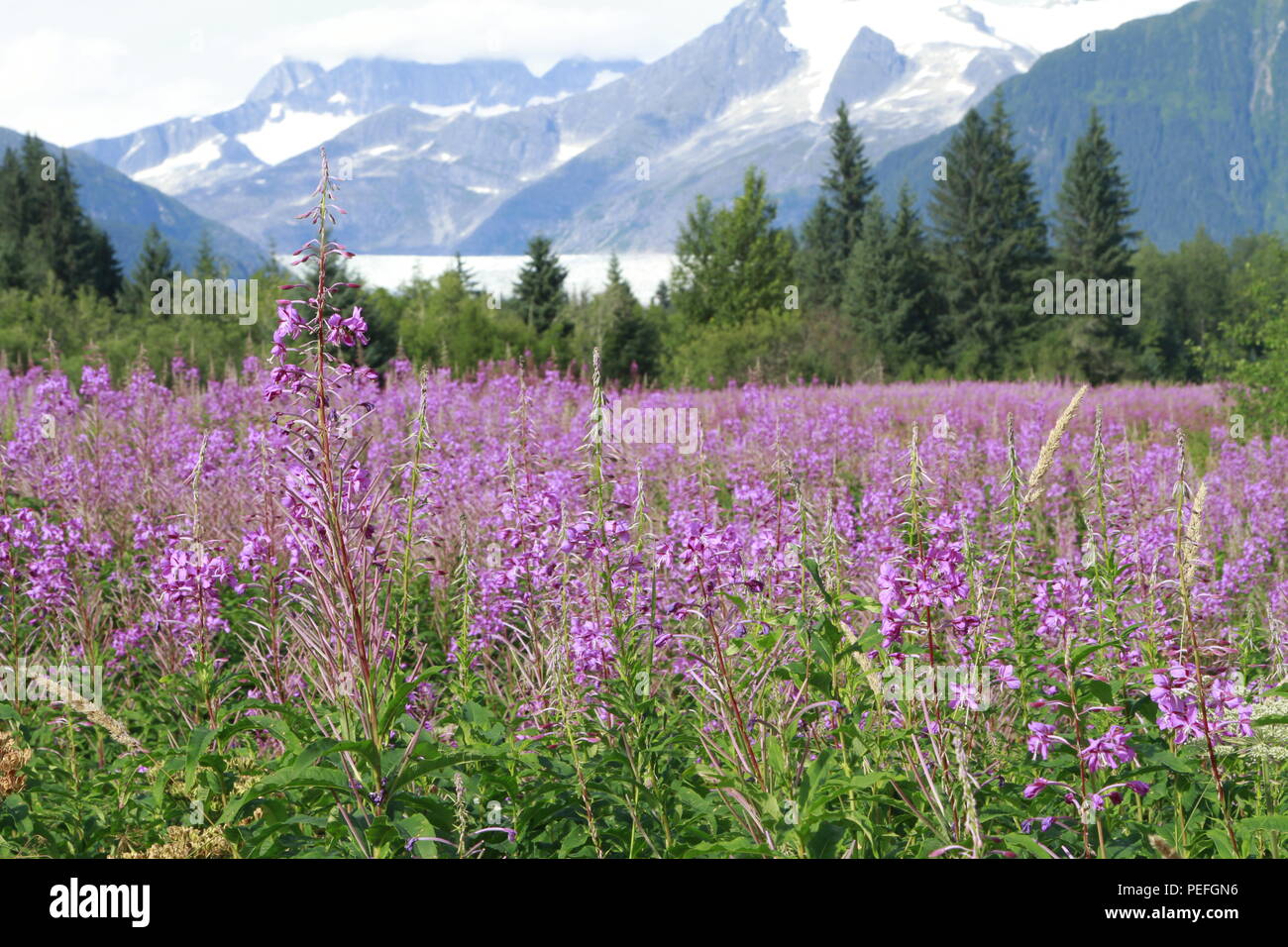 Iconic juneau hires stock photography and images Alamy