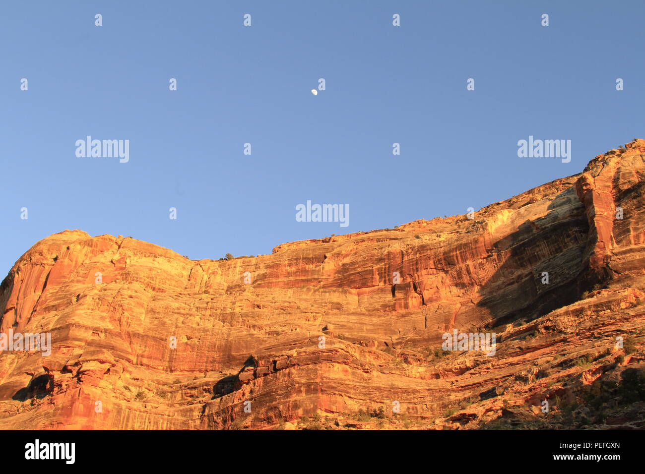 Moon over the canyon walls, Dark Canyon, Bears Ears National Monument, Utah, USA Stock Photo
