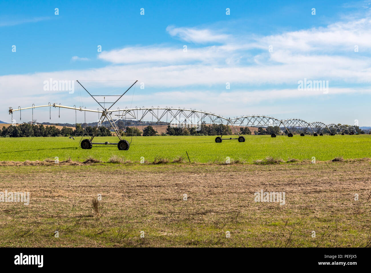 Farm irrigation sprinklers watering crops Stock Photo
