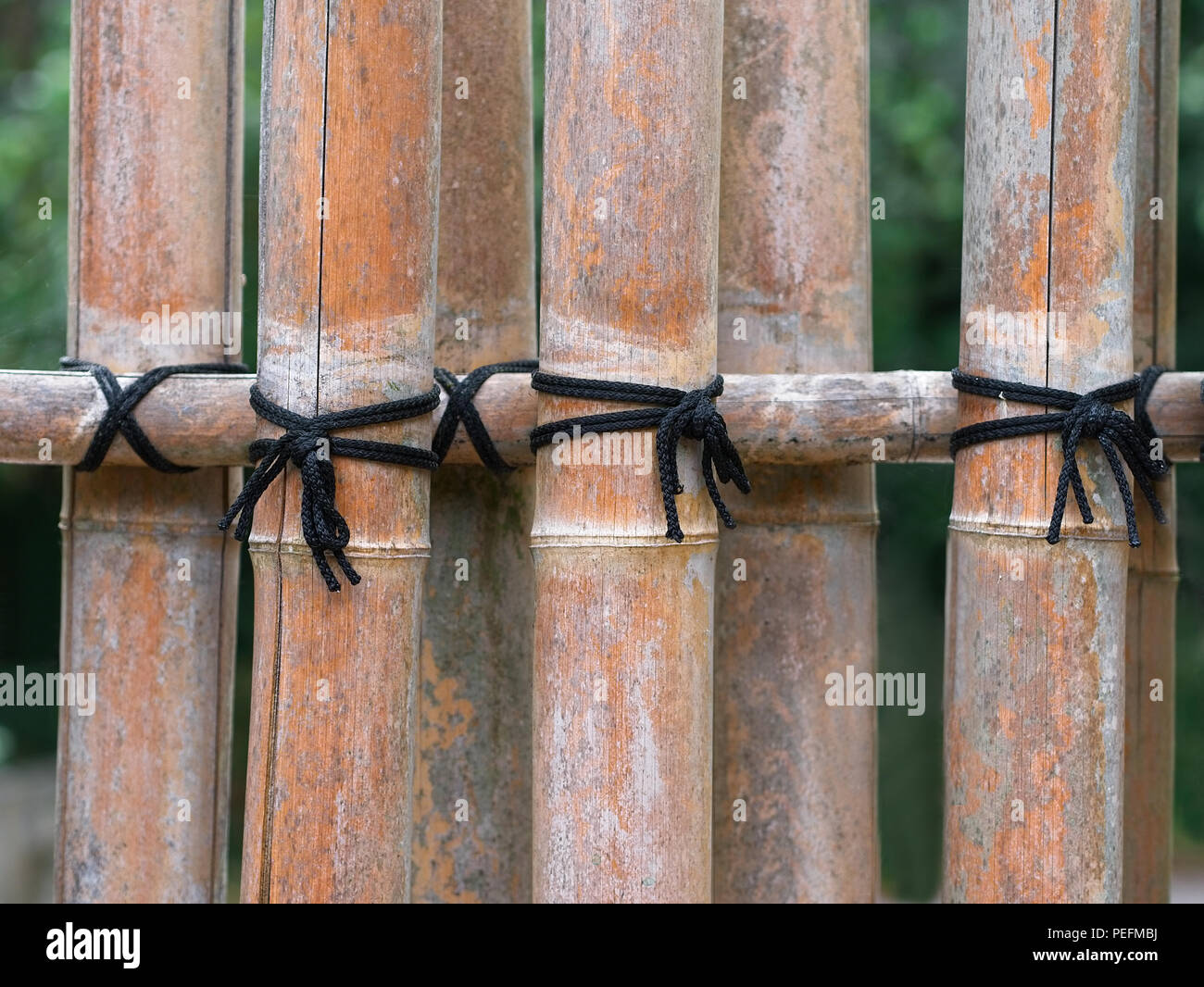 Old wooden palisade hi-res stock photography and images - Alamy