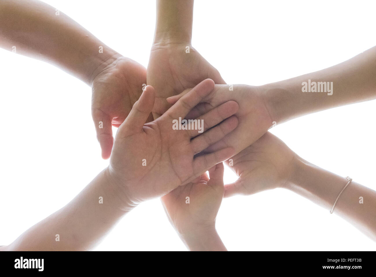 Friendship Day concept. Hands hit and join together isolate on white