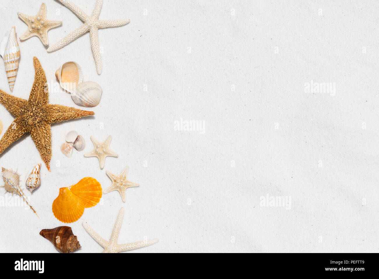 Group of beautiful seashell and starfish on white sandy beach ...