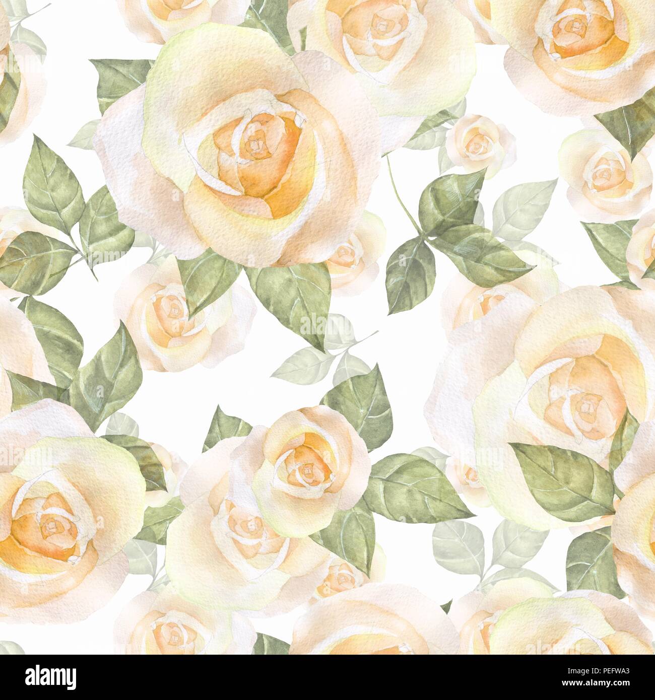 Delicate roses. Hand drawn watercolor floral seamless pattern Stock ...