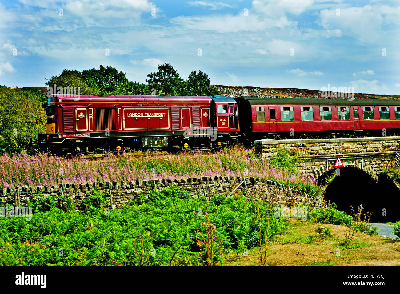 London Transport Liveid Class 20142 at Moorgates, North Yorkshire Moors Railway, England Stock Photo