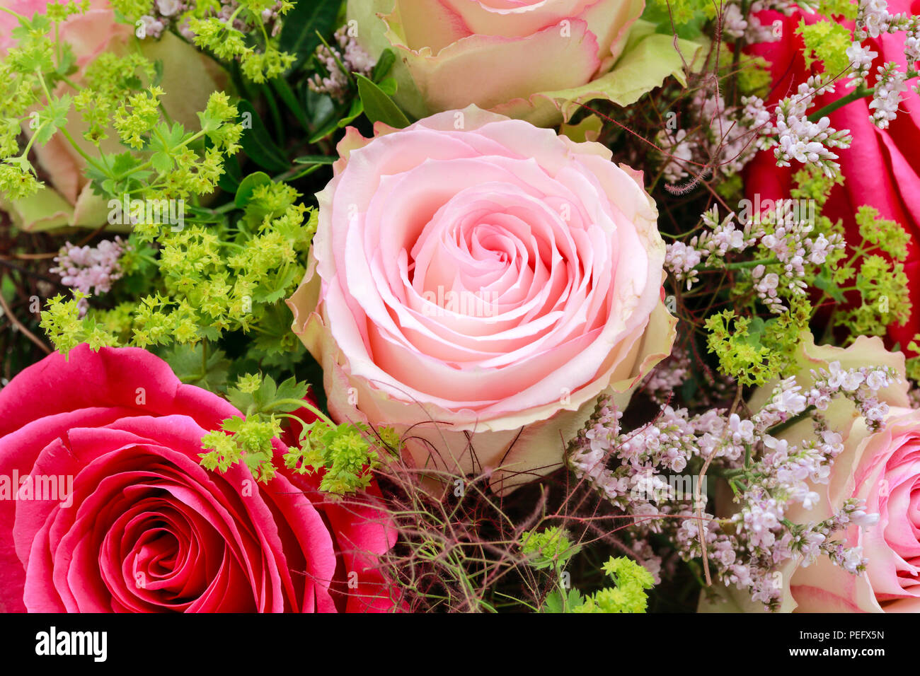 Cutting, flower, flowers, flower decoration, flower arrangement, bouquet, Deko, decoration, detail, flower arrangement, wedding, macro, close-up, natu Stock Photo