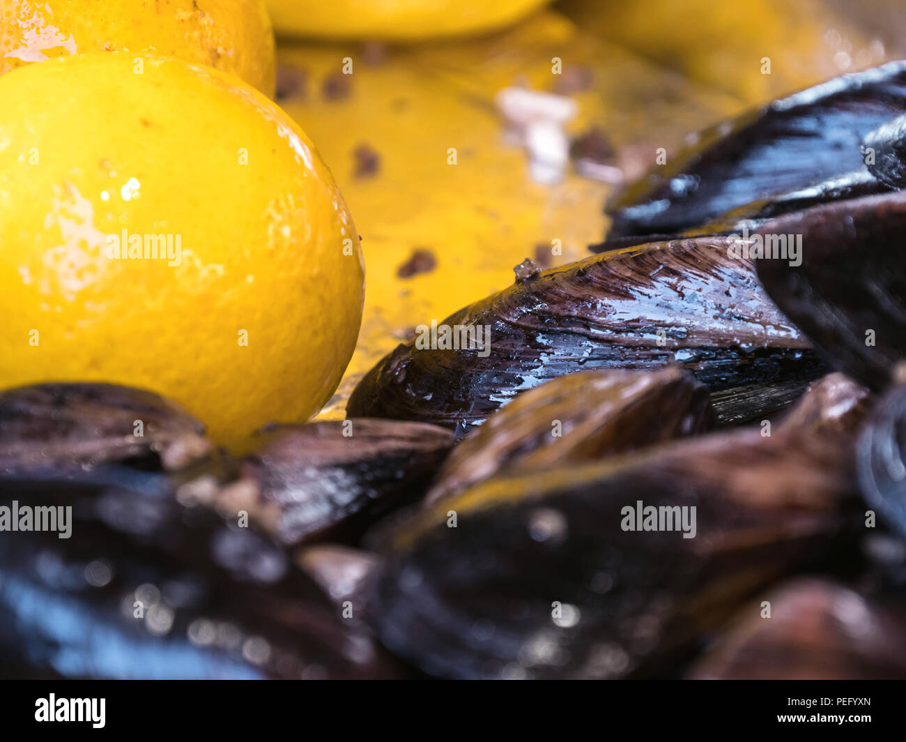 Stuffed mussels and lemon Stock Photo Alamy