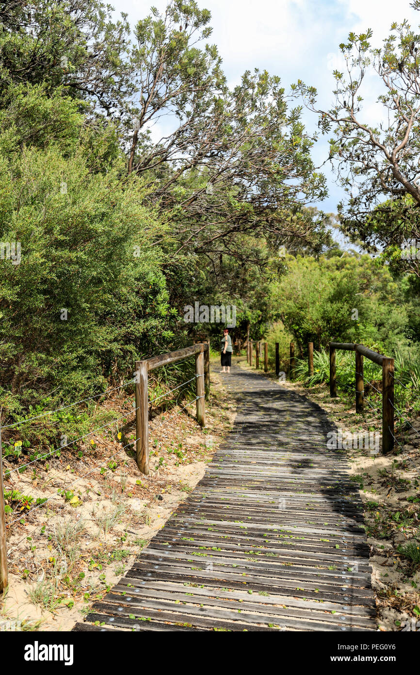 Timber pathway hi-res stock photography and images - Alamy