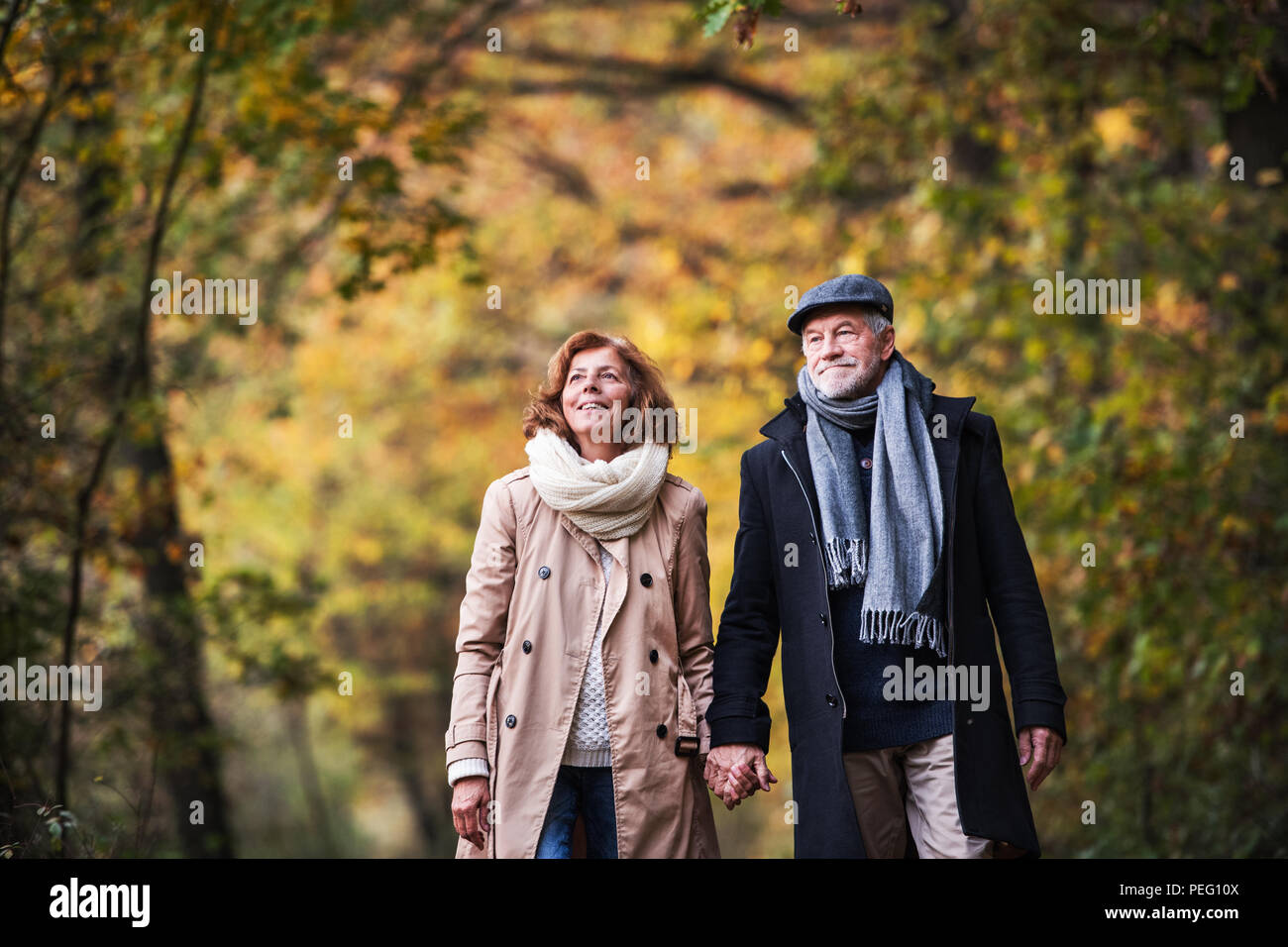 Senior couple walking in a forest in an autumn nature, holding hands ...