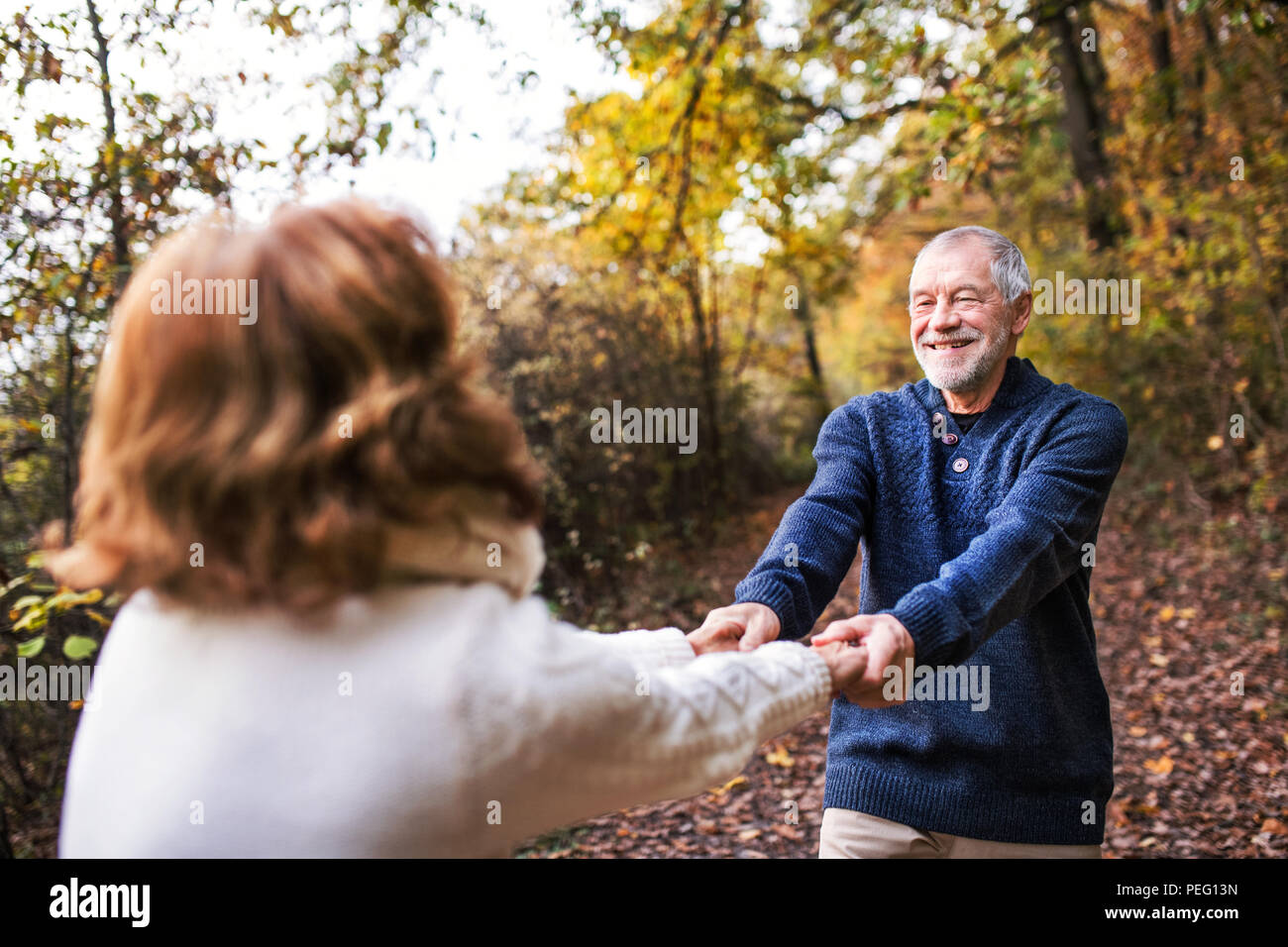 Senior couple in an autumn nature, holding hands and spinning Stock ...