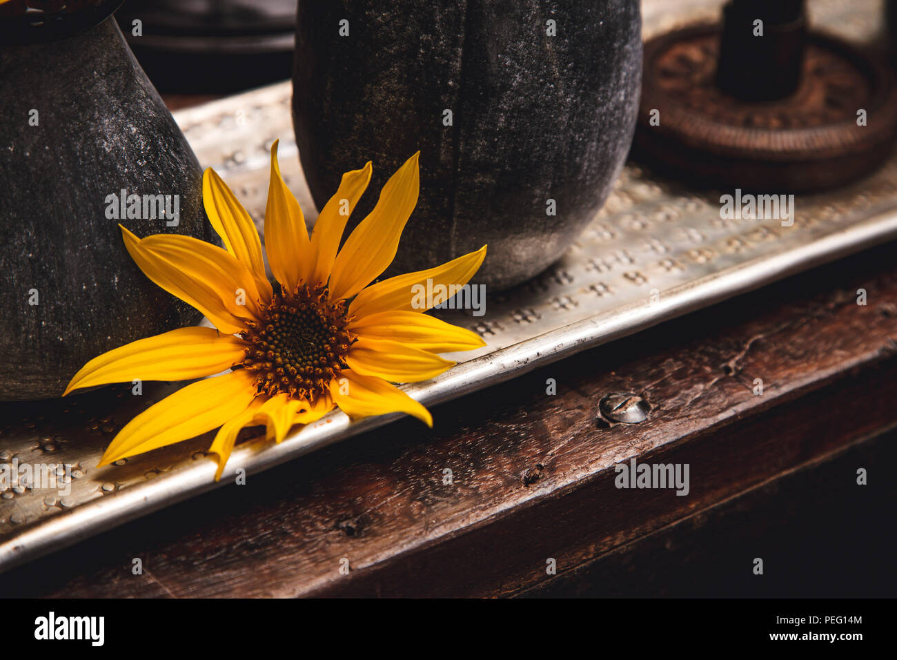 Sunflowers on a plate with decoration elements Stock Photo