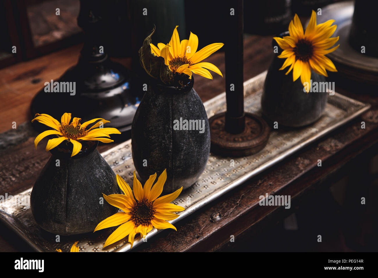 Sunflowers on a plate with decoration elements Stock Photo