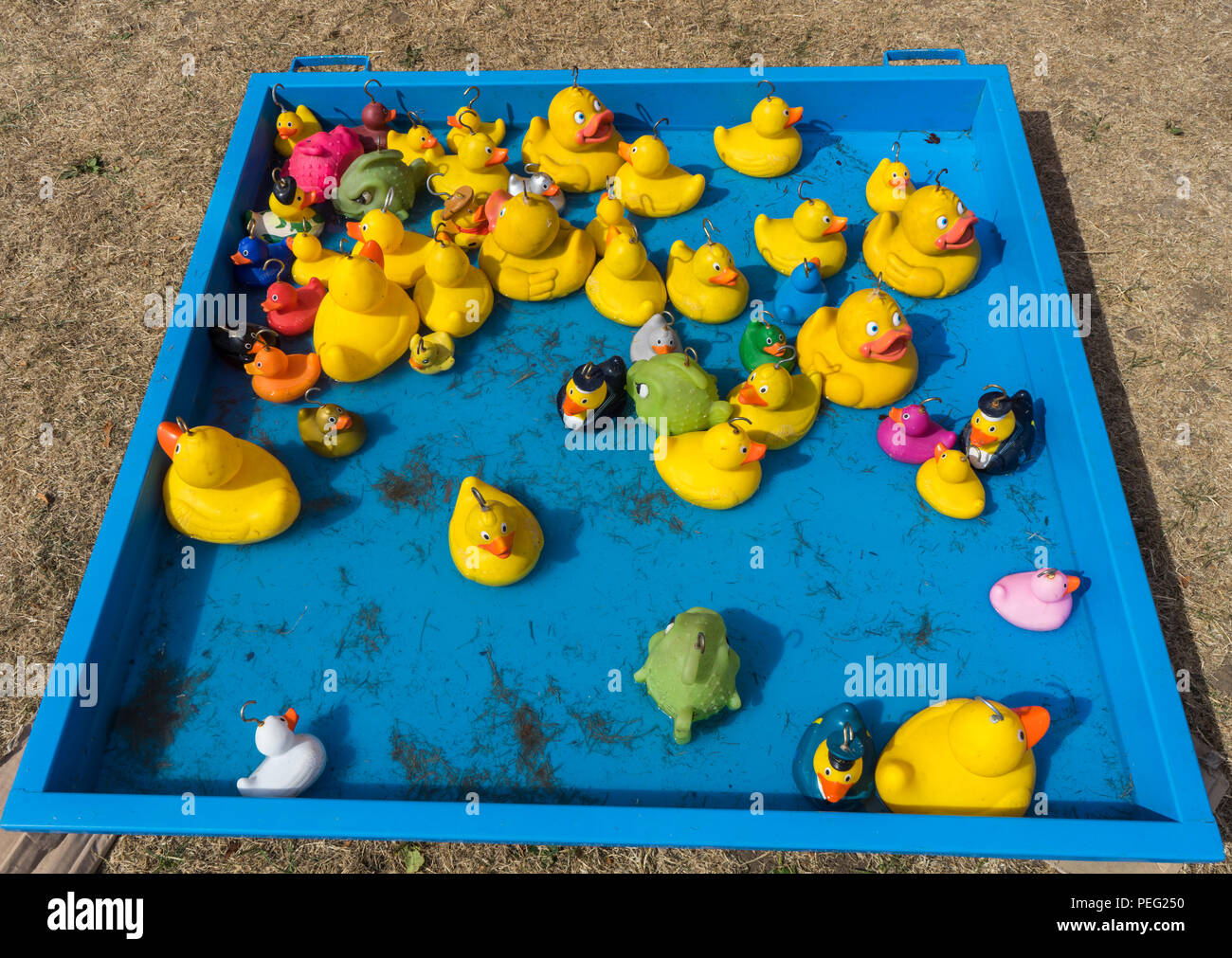 rubber ducks with hooks