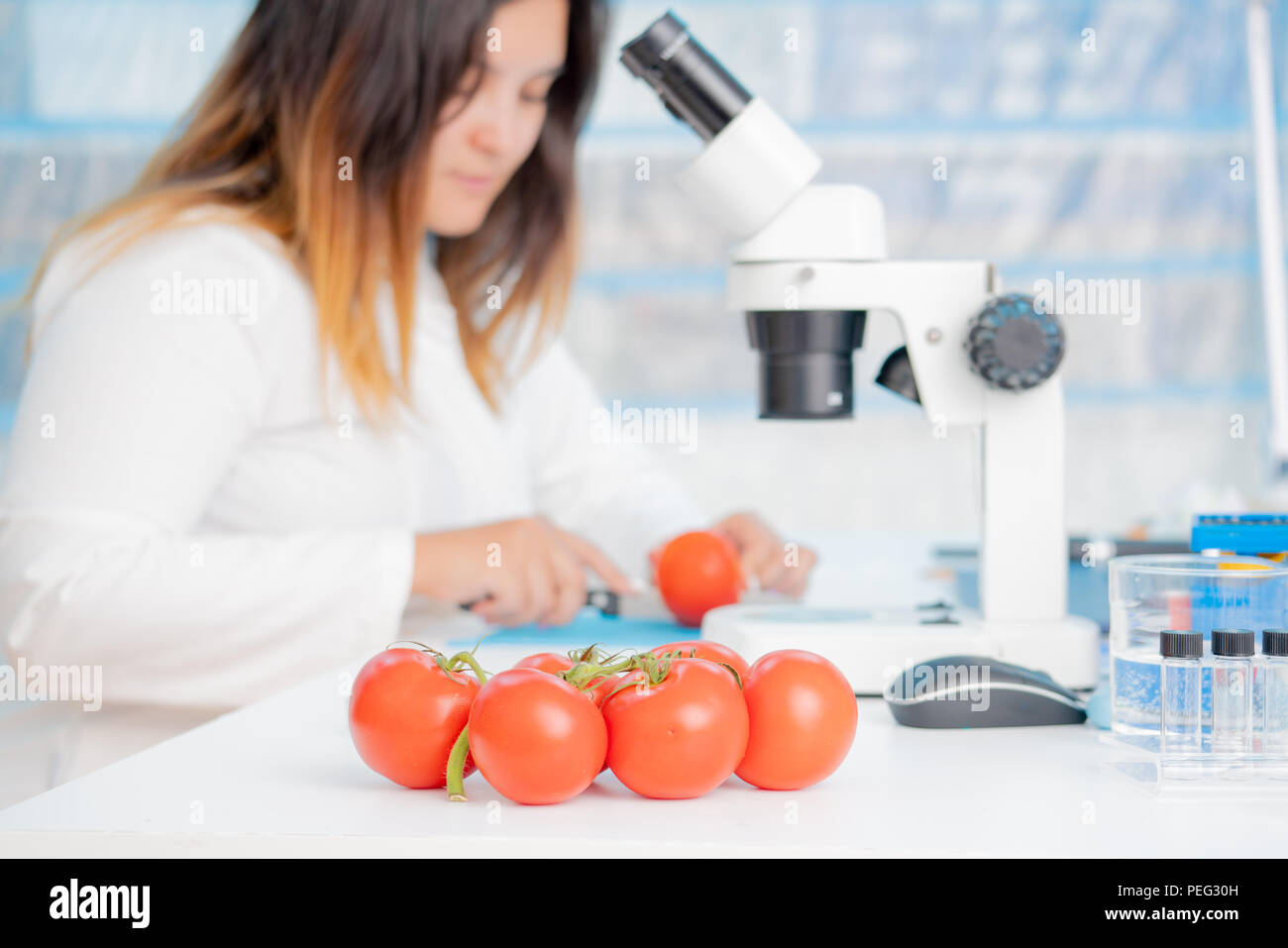 tomatoes in quality inspection lab Stock Photo Alamy