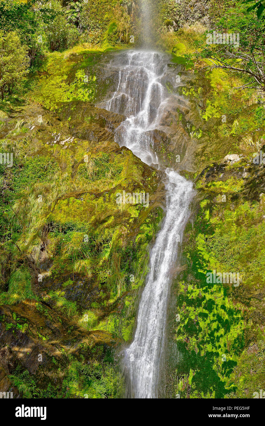 Five Mile Creek Falls, Lewiss Pass, South Island, New Zealand Stock Photo