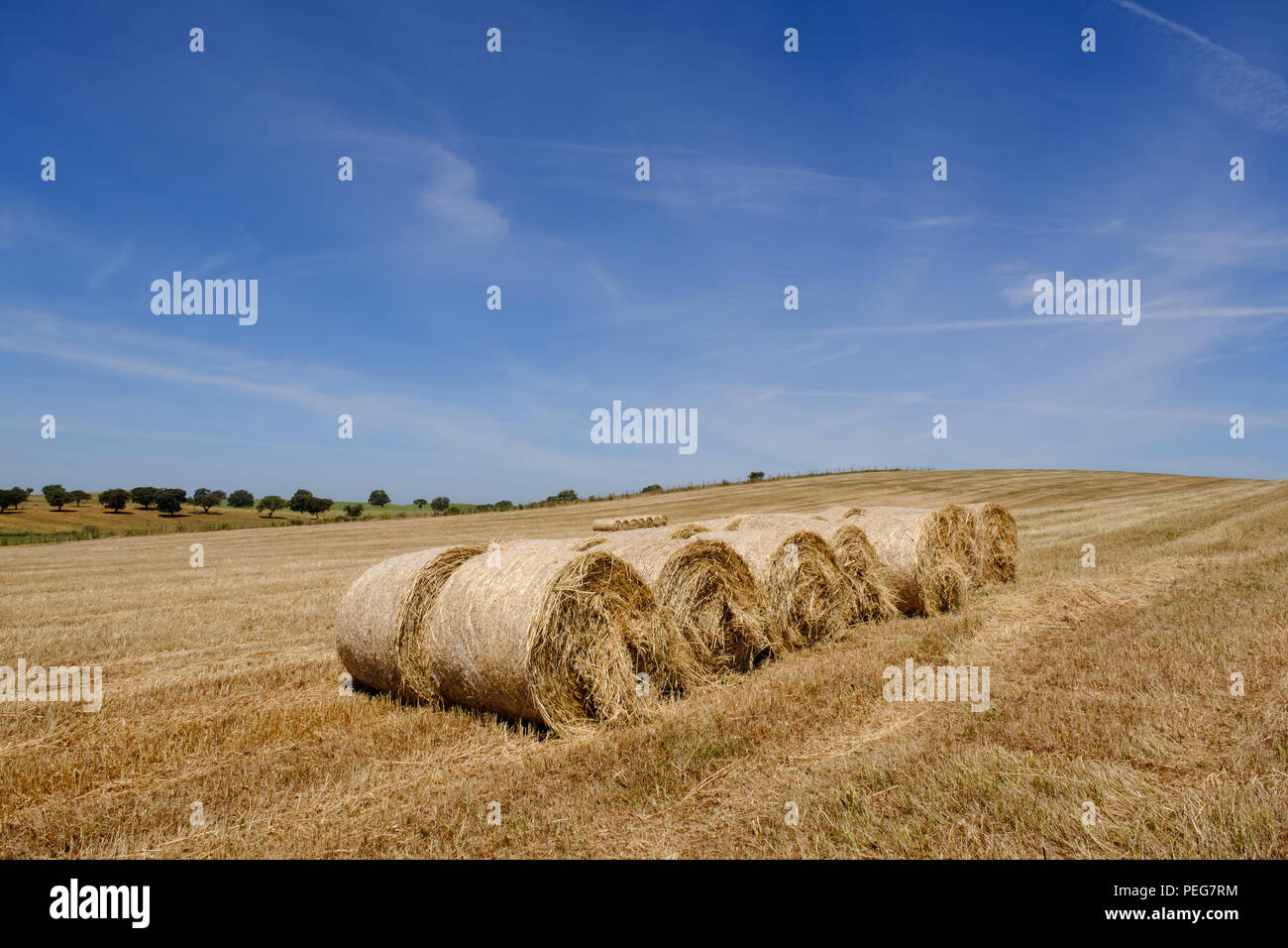 Farmland countryside landscape. Field of harvest wheat Stock Photo - Alamy