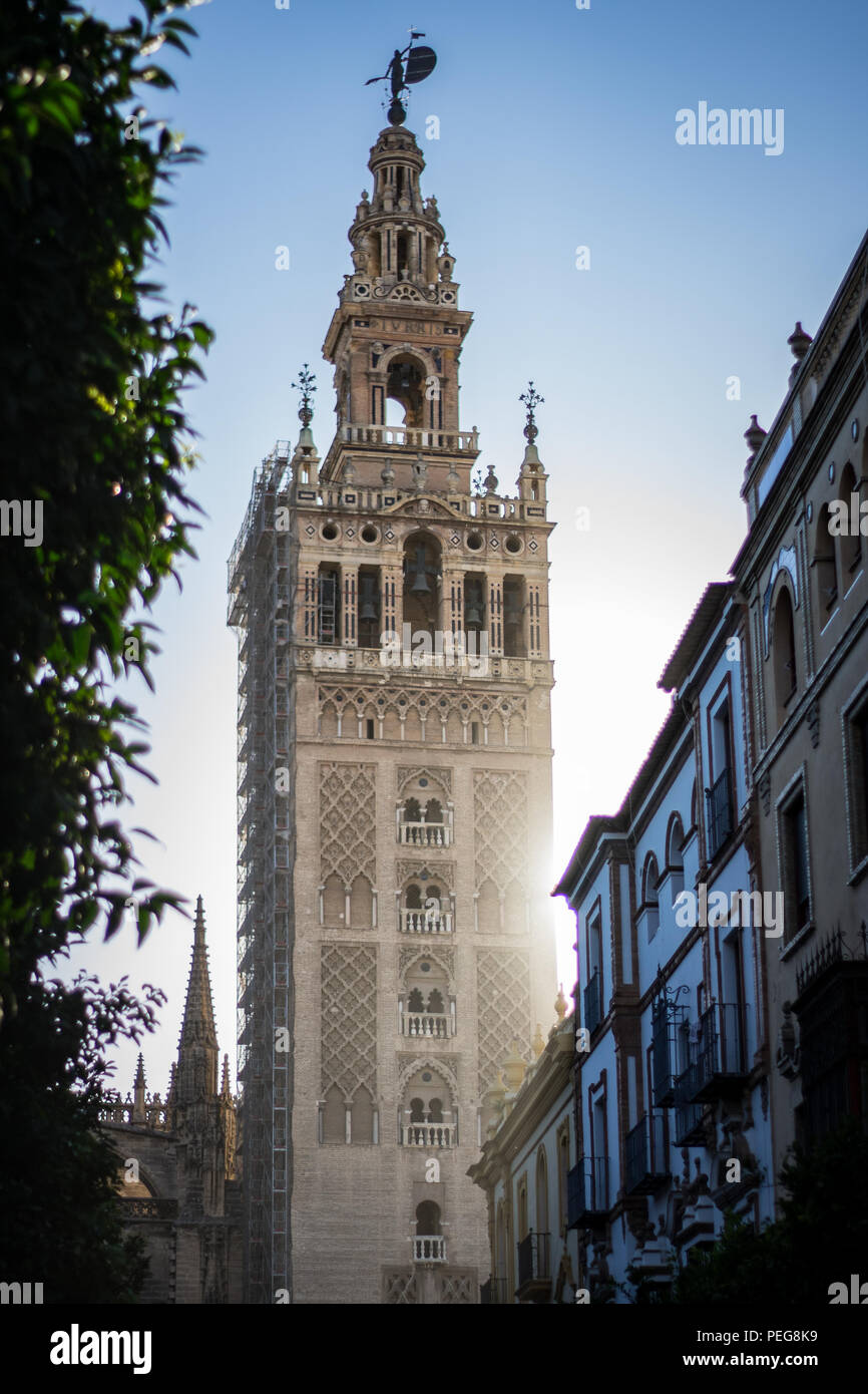 tower of cathedral seville Stock Photo