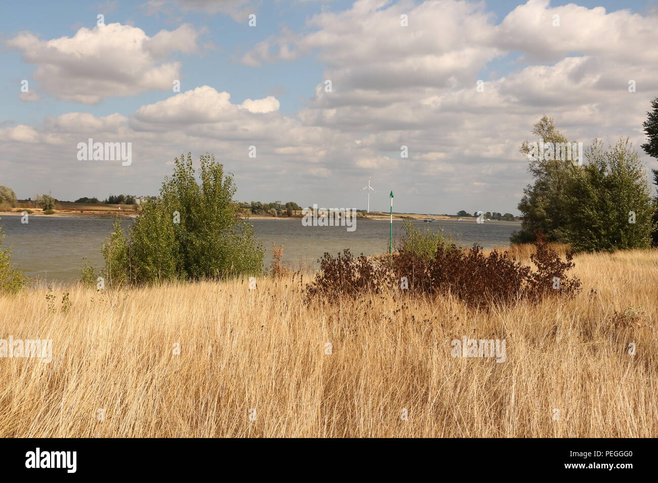 Naturlandschaft am Rhein bei Xanten im Hochsommer Stock Photo