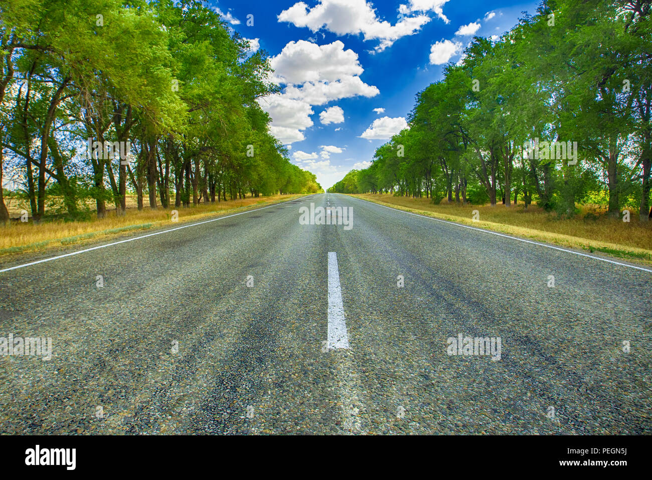 Summer landscape: road and blue sky with clouds. Stock Photo