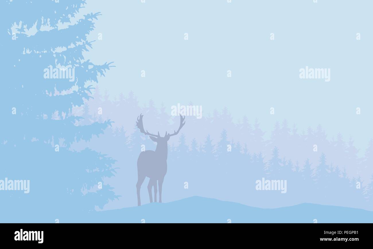 Deer with antlers standing in snowy coniferous forest with fog under ...