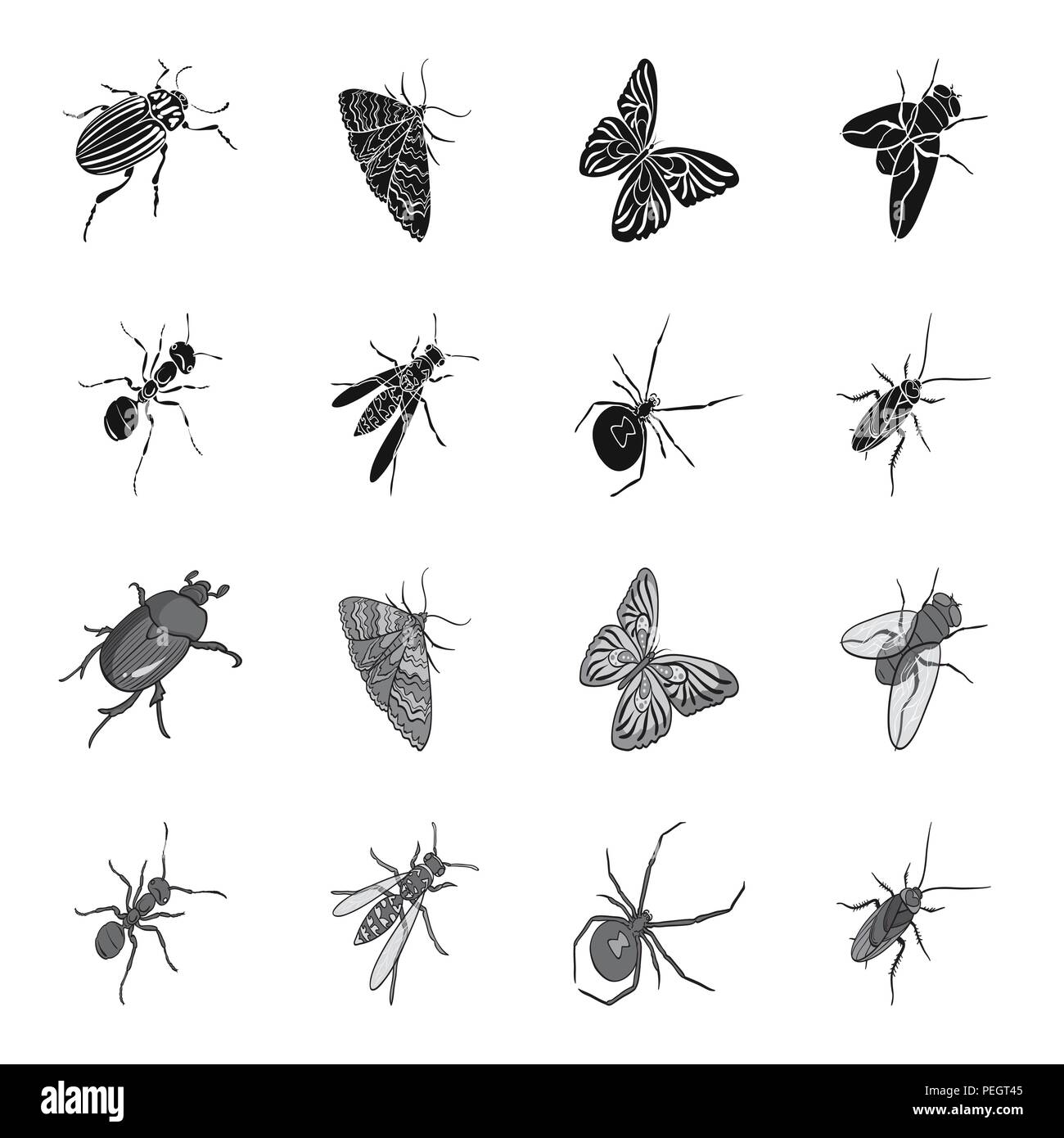 An insect arthropod, an osa, a spider, a cockroach. Insects set ...