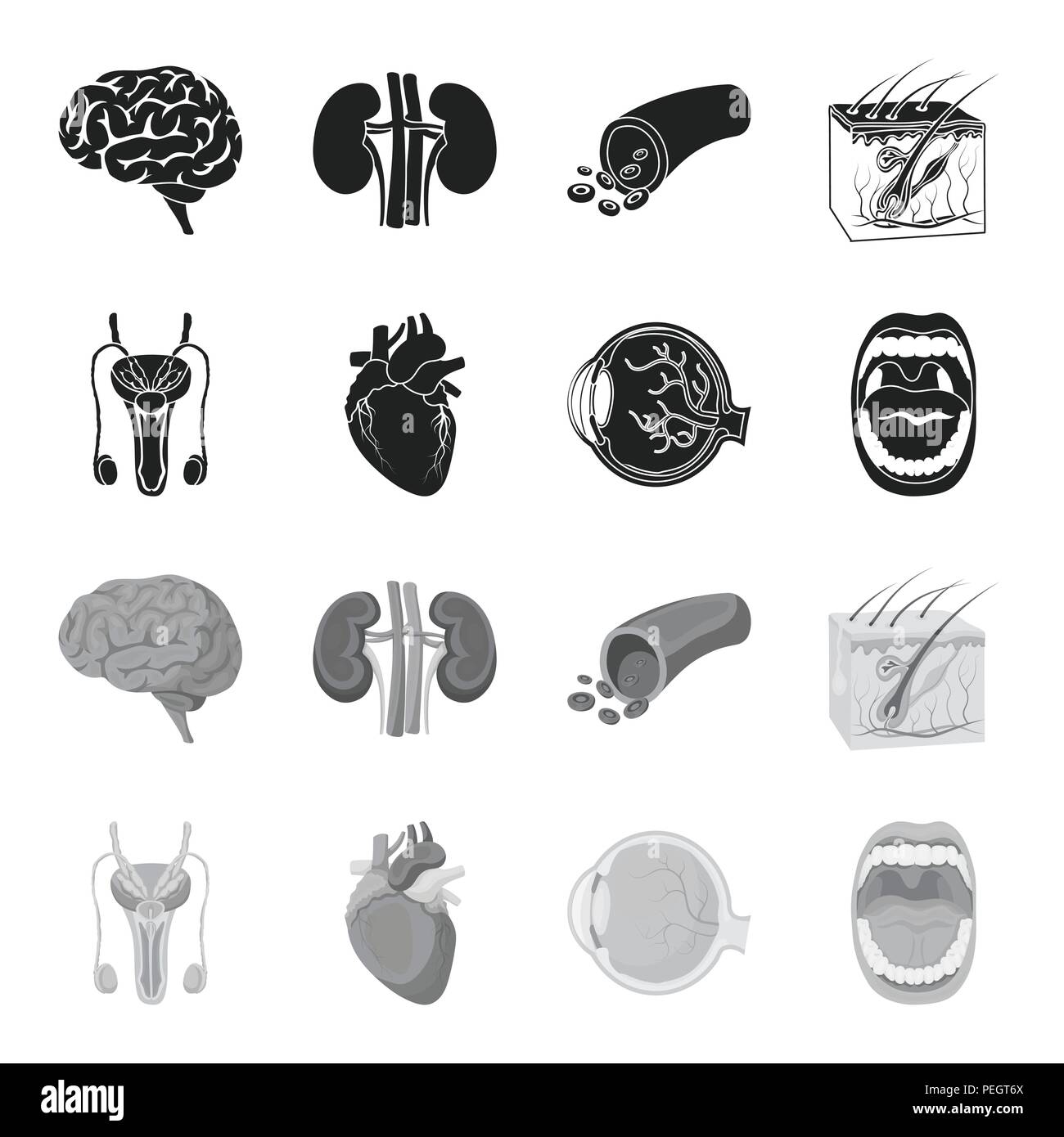 Male system, heart, eyeball, oral cavity. Organs set collection icons in black,monochrome style vector symbol stock illustration . Stock Vector