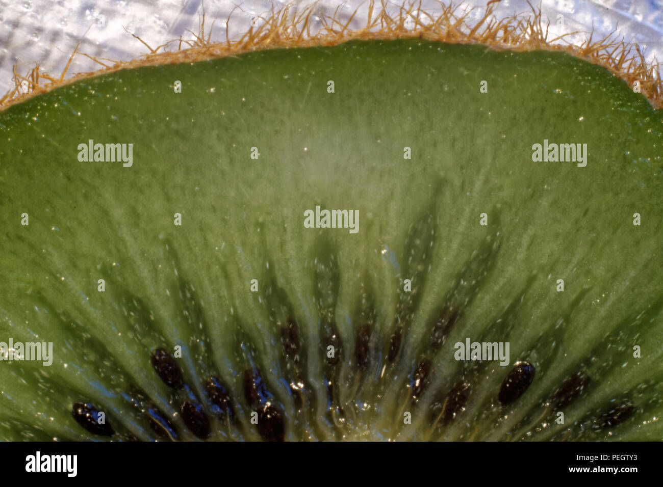 Photo kiwi fruit, Stock Photo