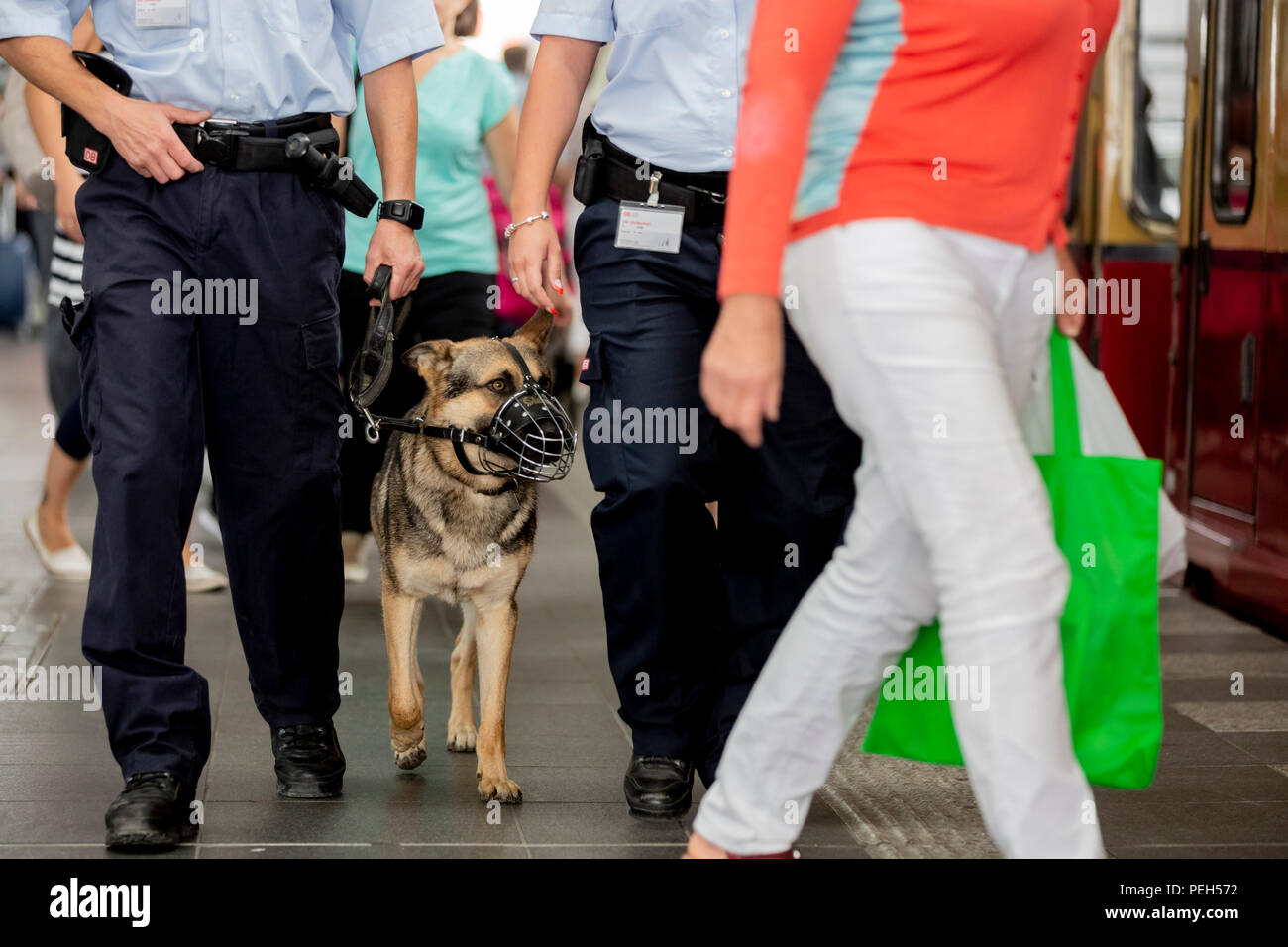 15 August 2018, Berlin, Germany: Service dog 'Teufel' runs patrol with two employees of DB-Sicherheit at the inauguration of the second of a total of five new S-Bahn guards at Ostkreuz station. Security forces are there day and night, accompanied and supported by protection dogs. Photo: Christoph Soeder/dpa Stock Photo