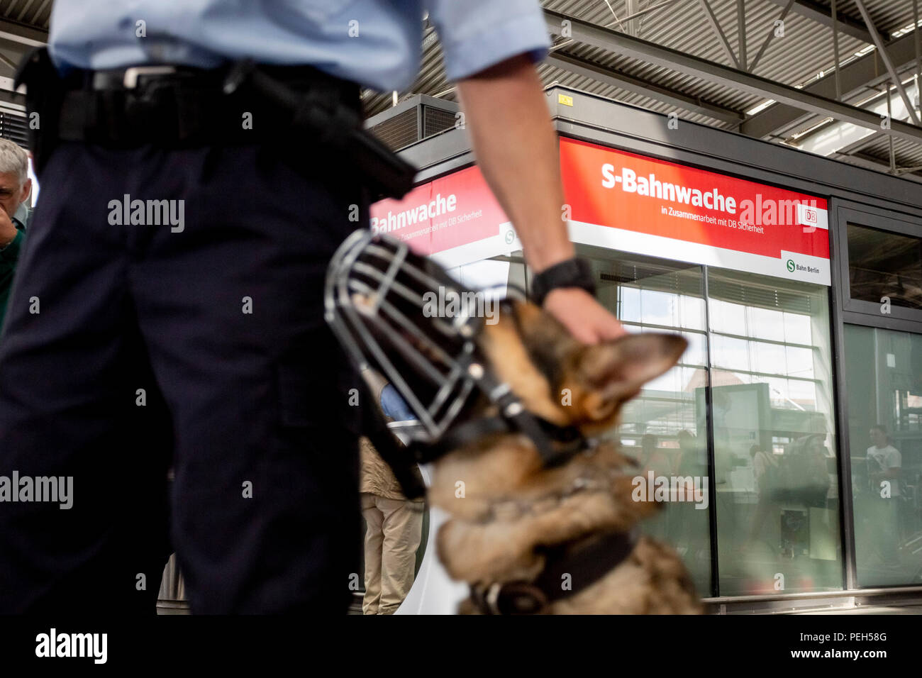 15 August 2018, Berlin, Germany: At the inauguration of the new S-Bahn station at Ostkreuz, a service dog stands next to an employee of DB-Sicherheit. Security forces are there day and night, accompanied and supported by protection dogs. Photo: Christoph Soeder/dpa Stock Photo