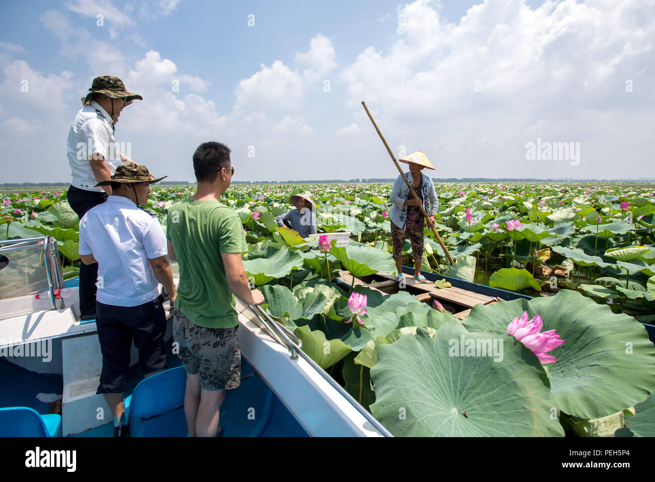 (180815) -- HONGHU, Aug. 15, 2018 (Xinhua) -- Staff members of the Xiaogang lake-patroller station patrol the Honghu Lake in Honghu City, central China's Hubei Province, Aug. 15, 2018.      Honghu Lake, Hubei Province's biggest lake, is 'a place better than paradise' with abundant fish, rice, lotus and ducks, says a popular Chinese folk song.     This was true until overfishing ruined the 41,000-hectare wetland. To revive Honghu, local government has taken a series of protective measures, such as getting rid of all the fences and nets used to trap fish, monitoring water quality and using treat Stock Photo