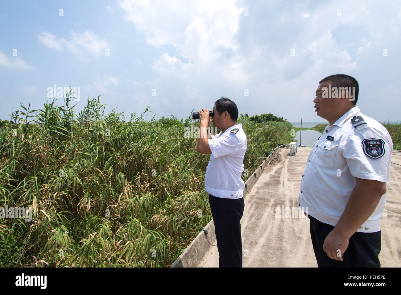 (180815) -- HONGHU, Aug. 15, 2018 (Xinhua) -- Staff members of the Xiaogang lake-patroller station observe the Honghu Lake in Honghu City, central China's Hubei Province, Aug. 15, 2018.     Honghu Lake, Hubei Province's biggest lake, is 'a place better than paradise' with abundant fish, rice, lotus and ducks, says a popular Chinese folk song.     This was true until overfishing ruined the 41,000-hectare wetland. To revive Honghu, local government has taken a series of protective measures, such as getting rid of all the fences and nets used to trap fish, monitoring water quality and using treat Stock Photo