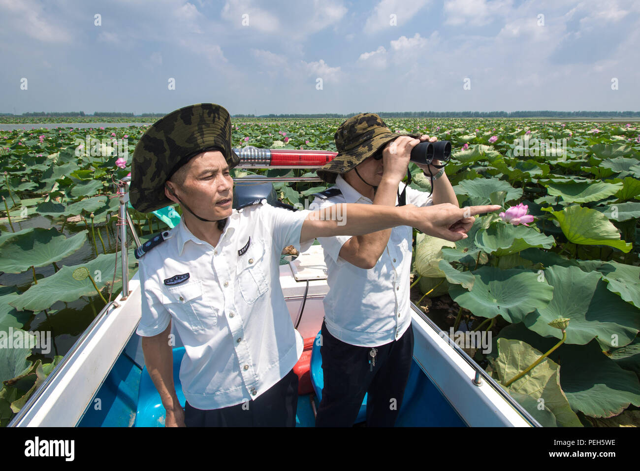 (180815) -- HONGHU, Aug. 15, 2018 (Xinhua) -- Staff members of the Xiaogang lake-patroller station observe the Honghu Lake in Honghu City, central China's Hubei Province, Aug. 15, 2018. Honghu Lake, Hubei Province's biggest lake, is 'a place better than paradise' with abundant fish, rice, lotus and ducks, says a popular Chinese folk song. This was true until overfishing ruined the 41,000-hectare wetland. To revive Honghu, local government has taken a series of protective measures, such as getting rid of all the fences and nets used to trap fish, monitoring water quality and using treat Stock Photo