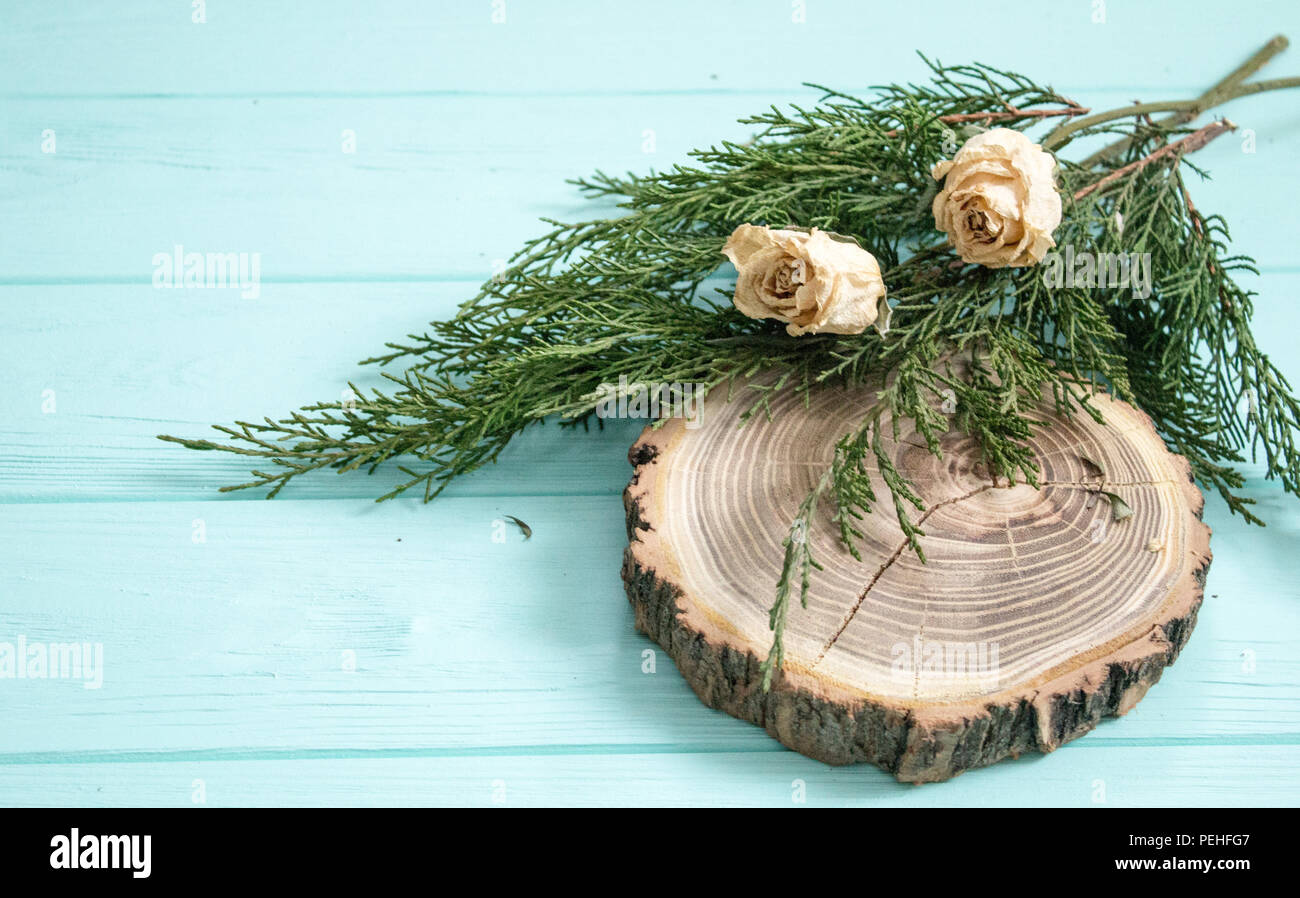 Dried roses, juniper branches and cut wood on turquoise background Stock Photo