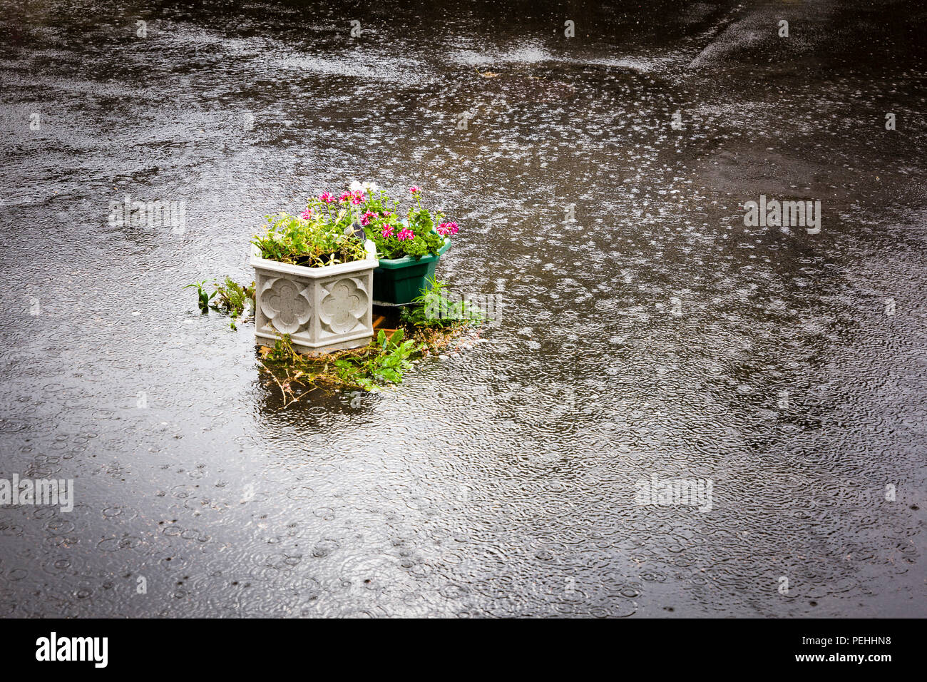 Flash flooding of private courtyard garden in July in UK Stock Photo