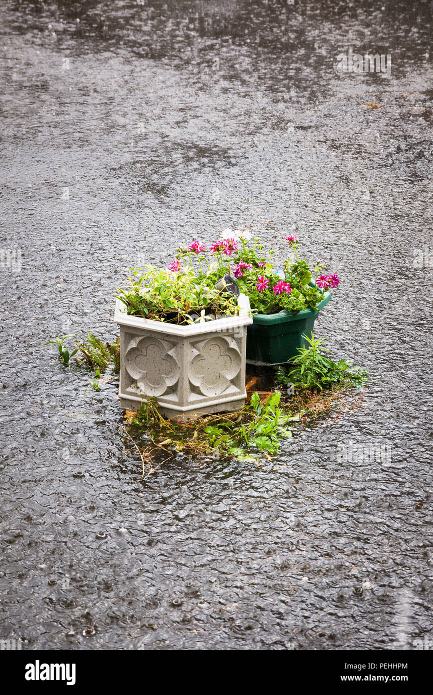 Flash flooding of private courtyard garden in July in UK Stock Photo