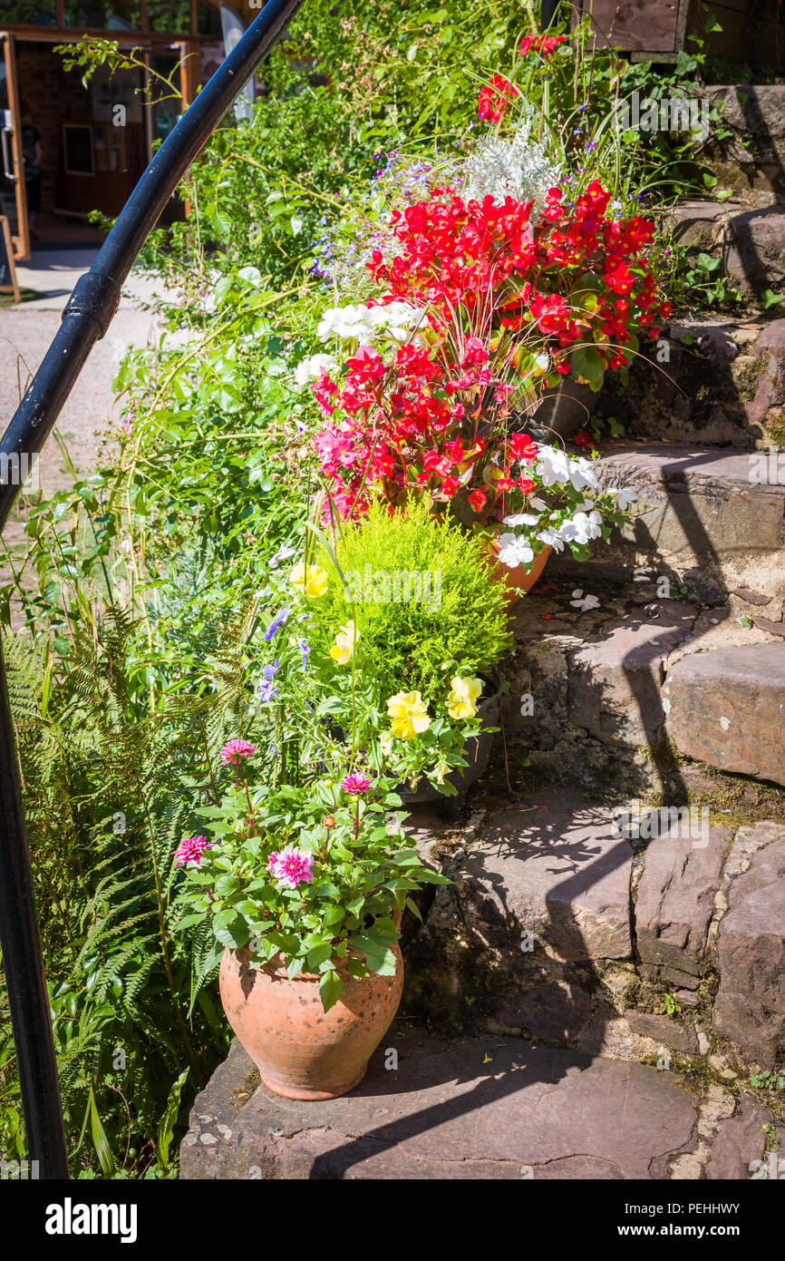 Floral planters on stone stairway to a holiday cottage in Cockington Devon UK Stock Photo