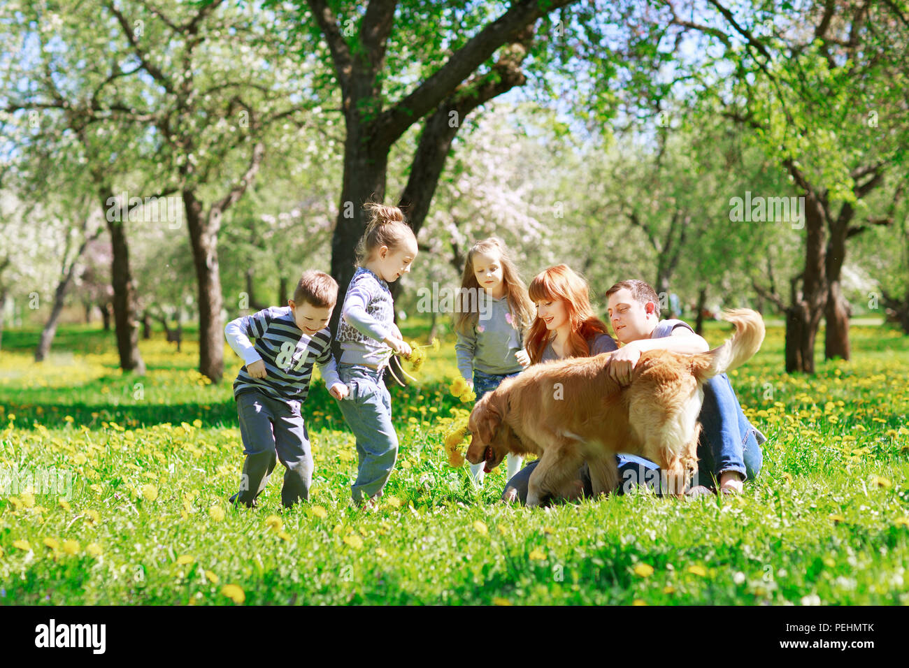 Family having picnic pet dog hi-res stock photography and images - Alamy